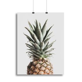 Pineapple Natural Canvas Print or Poster (Type: Standard Framed Canvas Print, size: 28" x 20" / 70cm x 50cm (approx))
